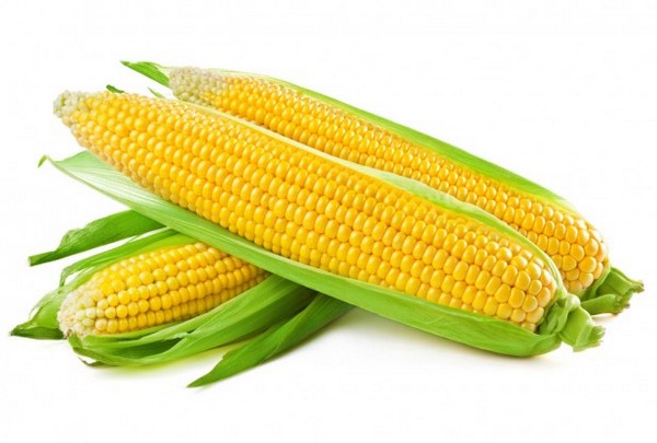 Кукуруза. История происхождения