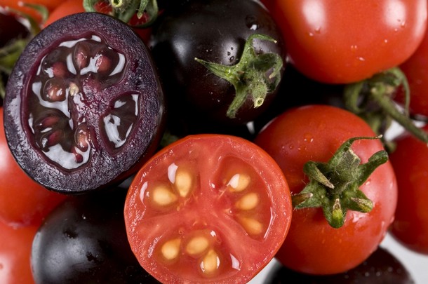 Фиолетовые помидоры помогут предотвратить рак