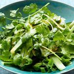 Острый огуречный салат с кинзой и зеленым луком