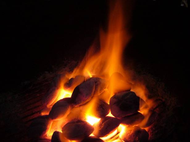 Приготовление пищи на углях